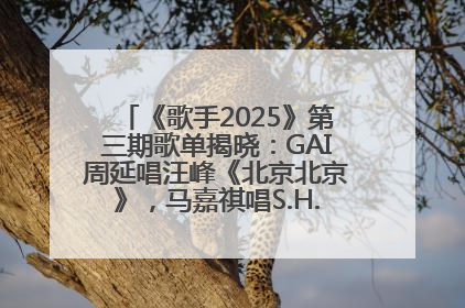 《歌手2025》第三期歌单揭晓：GAI周延唱汪峰《北京北京》，马嘉祺唱S.H.E《你曾是少年》