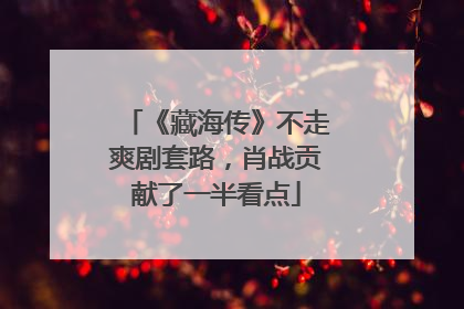 《藏海传》不走爽剧套路，肖战贡献了一半看点