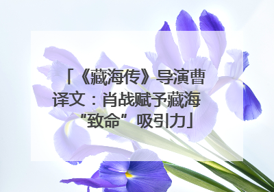 《藏海传》导演曹译文：肖战赋予藏海“致命”吸引力