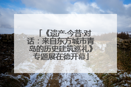 《遗产·今昔·对话：来自东方城市青岛的历史建筑巡礼》专题展在德开幕