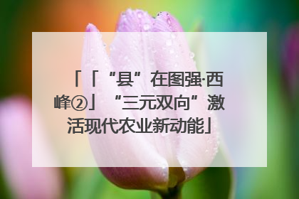 「“县”在图强·西峰②」“三元双向”激活现代农业新动能
