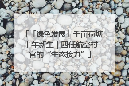 「绿色发展」千亩荷塘 十年新生｜四任航空村官的“生态接力”