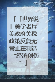 「世界说」美学者斥美政府关税政策反复无常正在制造“经济创伤”
