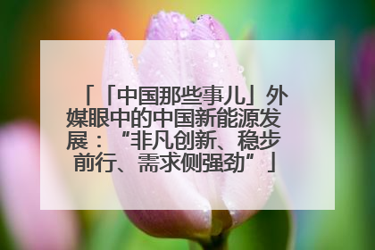 「中国那些事儿」外媒眼中的中国新能源发展：“非凡创新、稳步前行、需求侧强劲”