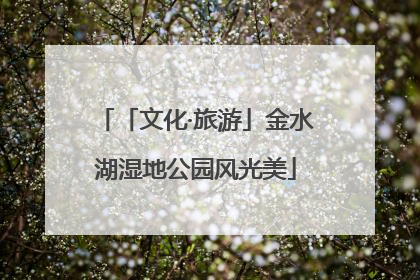 「文化·旅游」金水湖湿地公园风光美