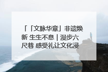 「文脉华章」非遗焕新 生生不息｜漫步六尺巷 感受礼让文化浸润的“巷”往生活