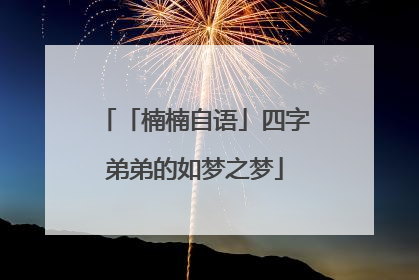 「楠楠自语」四字弟弟的如梦之梦