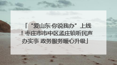 “爱山东·你说我办”上线！枣庄市市中区孟庄镇听民声办实事 政务服务暖心升级