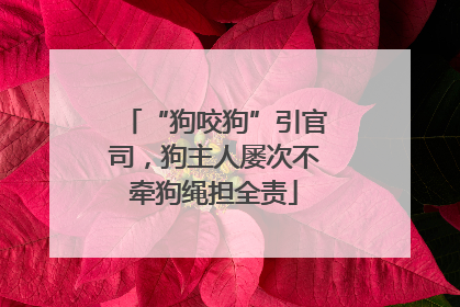 “狗咬狗”引官司，狗主人屡次不牵狗绳担全责
