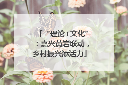 “理论+文化”：嘉兴黄岩联动，乡村振兴添活力