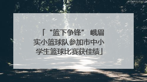 “篮下争锋” 峨眉实小篮球队参加市中小学生篮球比赛获佳绩