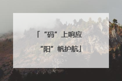 “码”上响应 “阳”帆护航