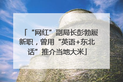 “网红”副局长彭勃履新职，曾用“英语+东北话”推介当地大米