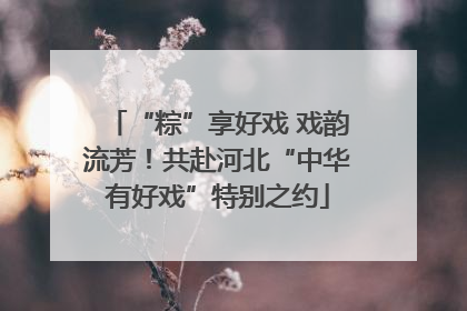 “粽”享好戏 戏韵流芳！共赴河北“中华有好戏”特别之约