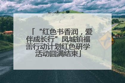 “红色书香润，爱伴成长行”凤城镇福蕾行动计划红色研学活动圆满结束