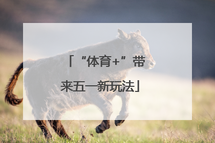 “体育+”带来五一新玩法