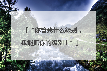 “你管我什么级别，我能抓你的级别！”