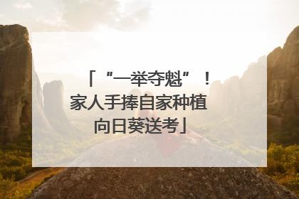 “一举夺魁”！家人手捧自家种植向日葵送考