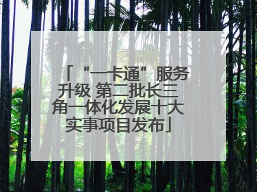 “一卡通”服务升级 第二批长三角一体化发展十大实事项目发布