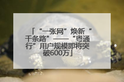 “一张网”焕新“千条路”——“粤通行”用户规模即将突破600万