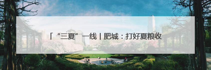 “三夏”一线丨肥城：打好夏粮收购“组合拳” 确保粮食颗粒归仓