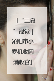 “三夏”视觉｜沁阳市小麦机收圆满收官
