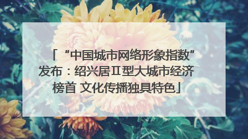 “中国城市网络形象指数”发布：绍兴居Ⅱ型大城市经济榜首 文化传播独具特色