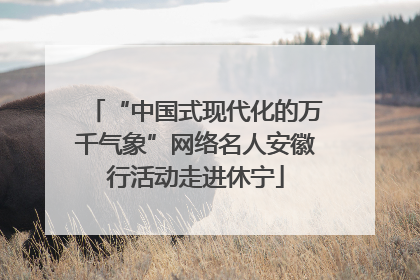 “中国式现代化的万千气象”网络名人安徽行活动走进休宁