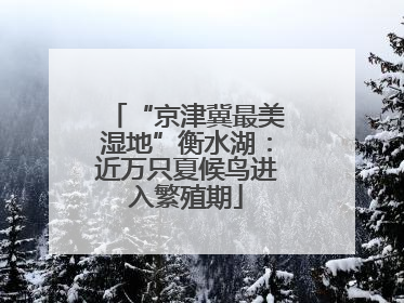 “京津冀最美湿地”衡水湖：近万只夏候鸟进入繁殖期