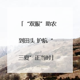 “双服”助农到田头 护航“三夏”正当时