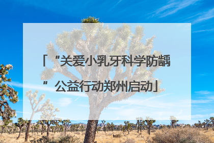 “关爱小乳牙科学防龋”公益行动郑州启动