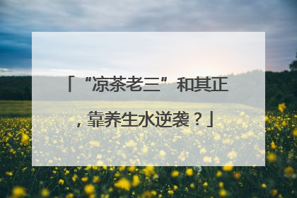 “凉茶老三”和其正，靠养生水逆袭？
