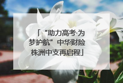 “助力高考·为梦护航”中华财险株洲中支再启程
