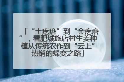 “土疙瘩”到“金疙瘩”，看肥城旅店村生姜种植从传统农作到“云上”热销的蝶变之路