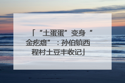 “土蛋蛋”变身“金疙瘩”：孙伯镇西程村土豆丰收记