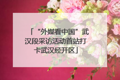 “外媒看中国”武汉段采访活动首站打卡武汉经开区