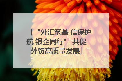 “外汇筑基 信保护航 银企同行” 共促外贸高质量发展