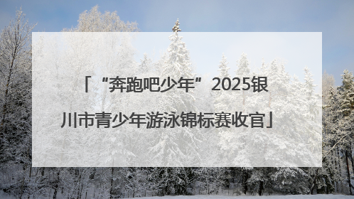 “奔跑吧少年”2025银川市青少年游泳锦标赛收官
