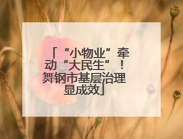 “小物业”牵动“大民生”！舞钢市基层治理显成效