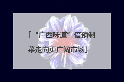 “广西味道”借预制菜走向更广阔市场