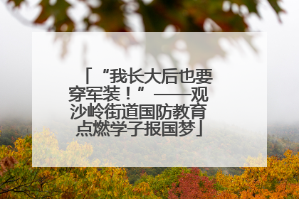 “我长大后也要穿军装！”——观沙岭街道国防教育点燃学子报国梦