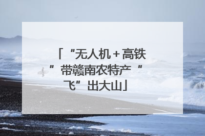 “无人机＋高铁”带赣南农特产“飞”出大山