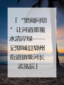 “望闻问切”让河道重现水清岸绿——记郓城县郓州街道镇级河长孟泓辰