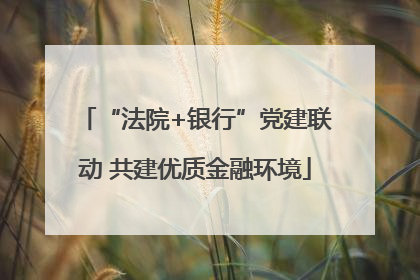“法院+银行”党建联动 共建优质金融环境