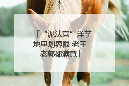“泥法官”洋芋地里划界限 老王老郭都满意