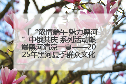“浓情端午·魅力黑河”中俄共庆 系列活动燃爆黑河清凉一夏——2025年黑河夏季群众文化活动启幕 多元文化赋能边境文旅新高地
