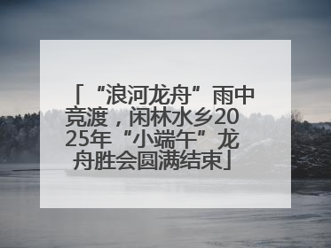 “浪河龙舟”雨中竞渡，闲林水乡2025年“小端午”龙舟胜会圆满结束