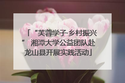 “芙蓉学子·乡村振兴” 湘潭大学公益团队赴龙山县开展实践活动