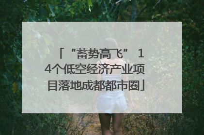 “蓄势高飞” 14个低空经济产业项目落地成都都市圈
