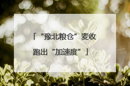 “豫北粮仓”麦收跑出“加速度”